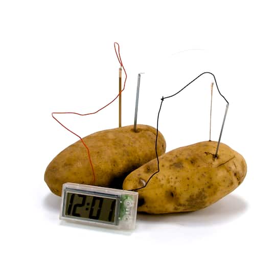 Toysmith® Potato Clock Kit